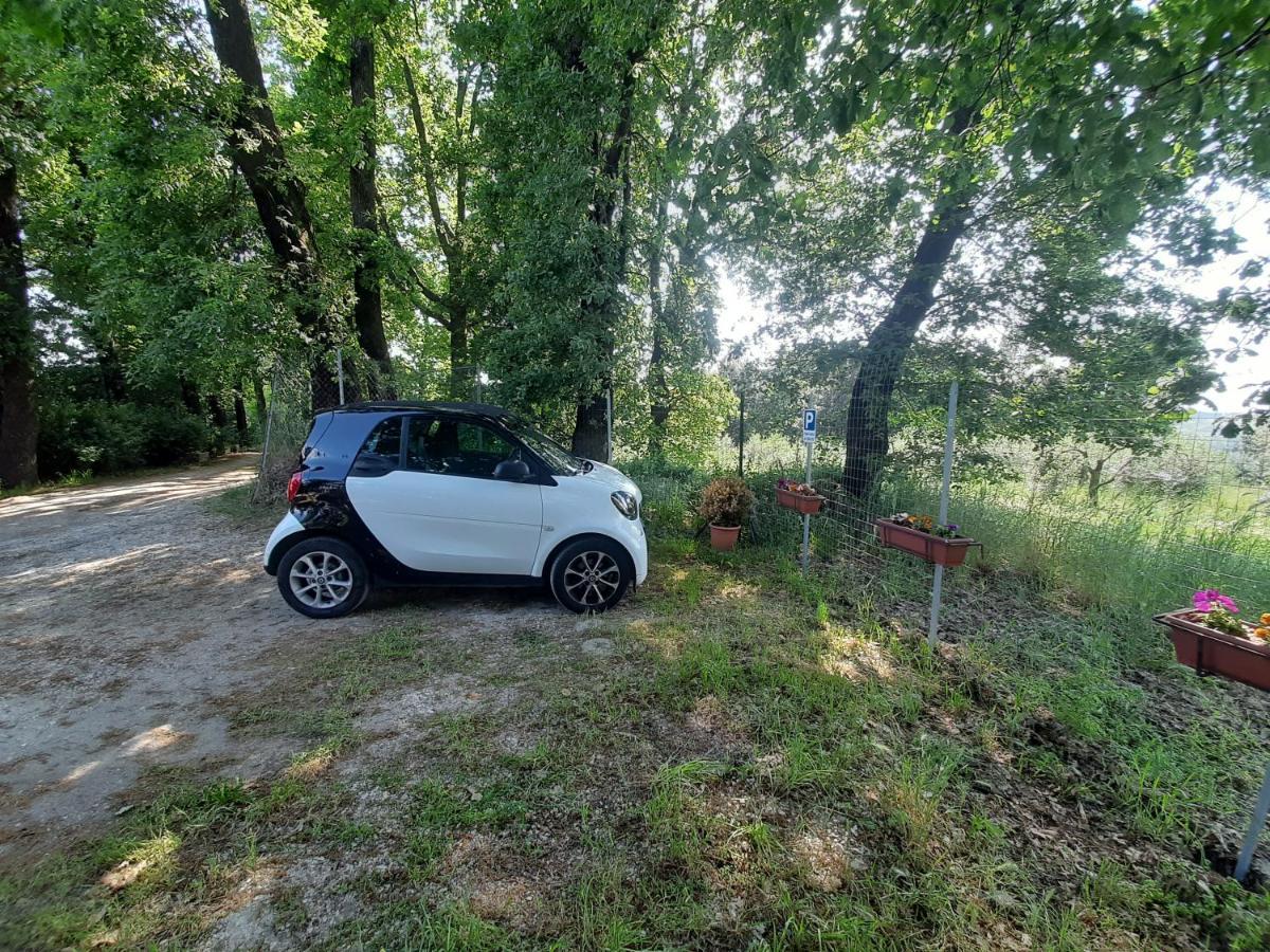 Poggio Della Roverella Country House Morlupo Kültér fotó