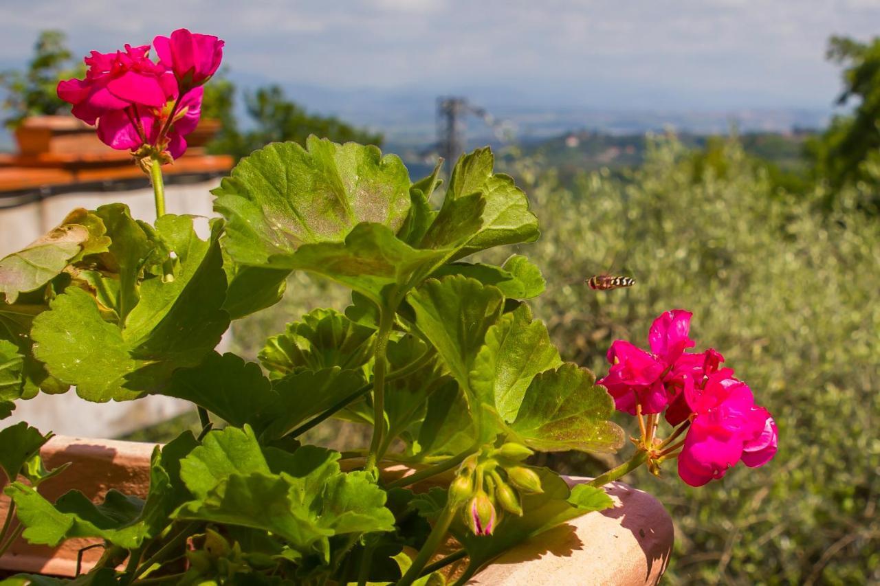 Poggio Della Roverella Country House Morlupo Kültér fotó