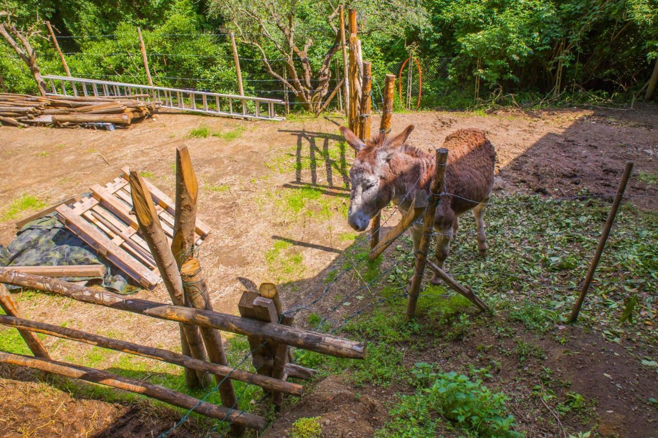 Poggio Della Roverella Country House Morlupo Kültér fotó
